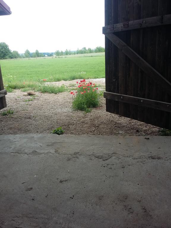 Вилла Agrocamp Pawlowka  Экстерьер фото