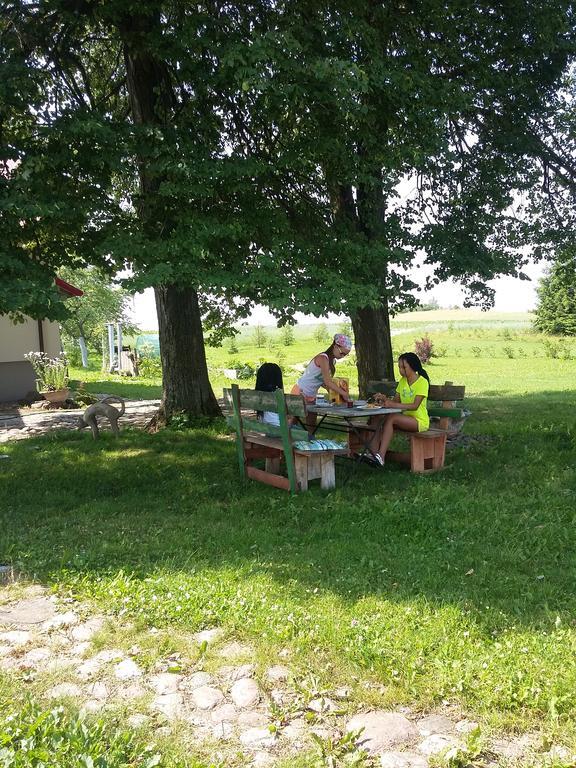 Вилла Agrocamp Pawlowka  Экстерьер фото