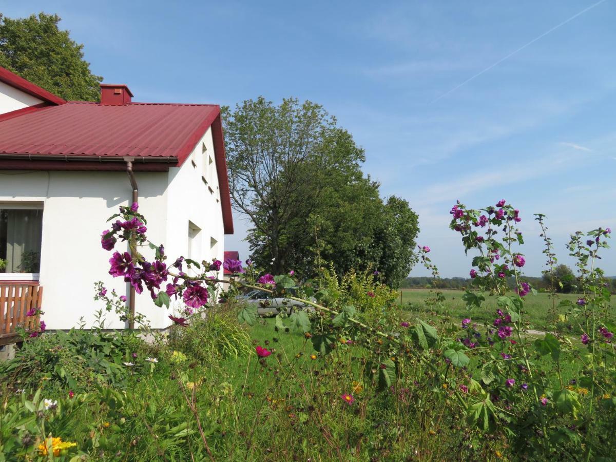 Вилла Agrocamp Pawlowka  Экстерьер фото